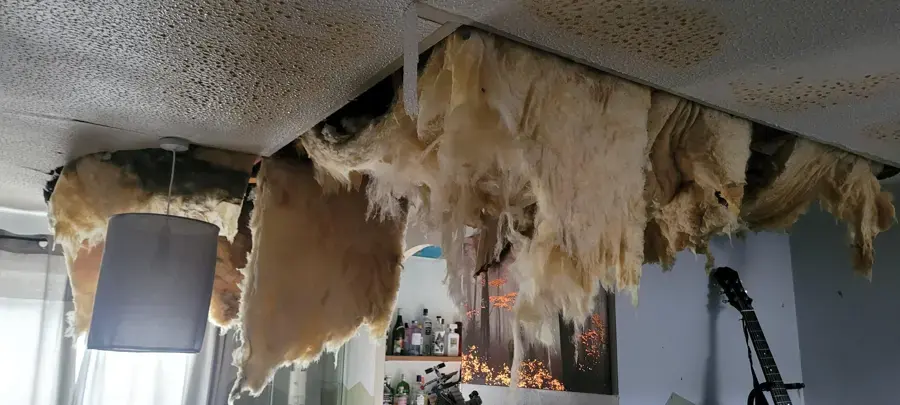 Collapsed wet ceiling drywall and insulation after a leak from above in Lake Elsinore