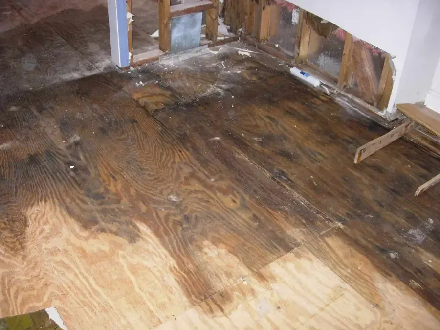 Water-stained plywood subfloor exposed during drying in a Lake Elsinore home