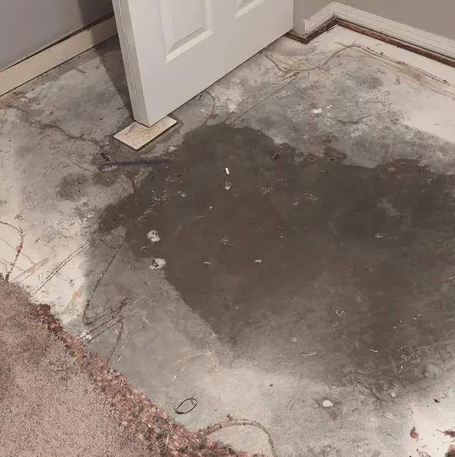 Wet concrete slab exposed after the carpet was pulled back in a Lake Elsinore home